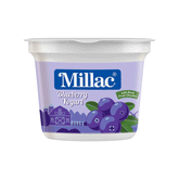 Millac Yogurt Blueberry 100gm